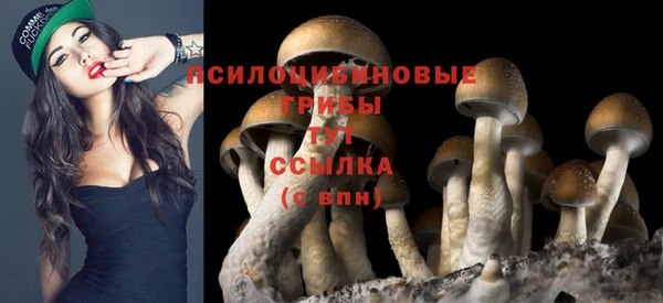 ALPHA-PVP Наволоки