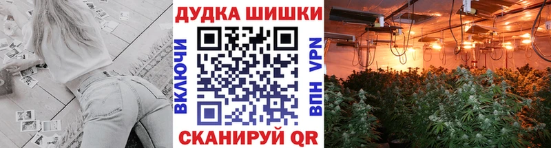 Каннабис VHQ  цены наркотик  Урюпинск 